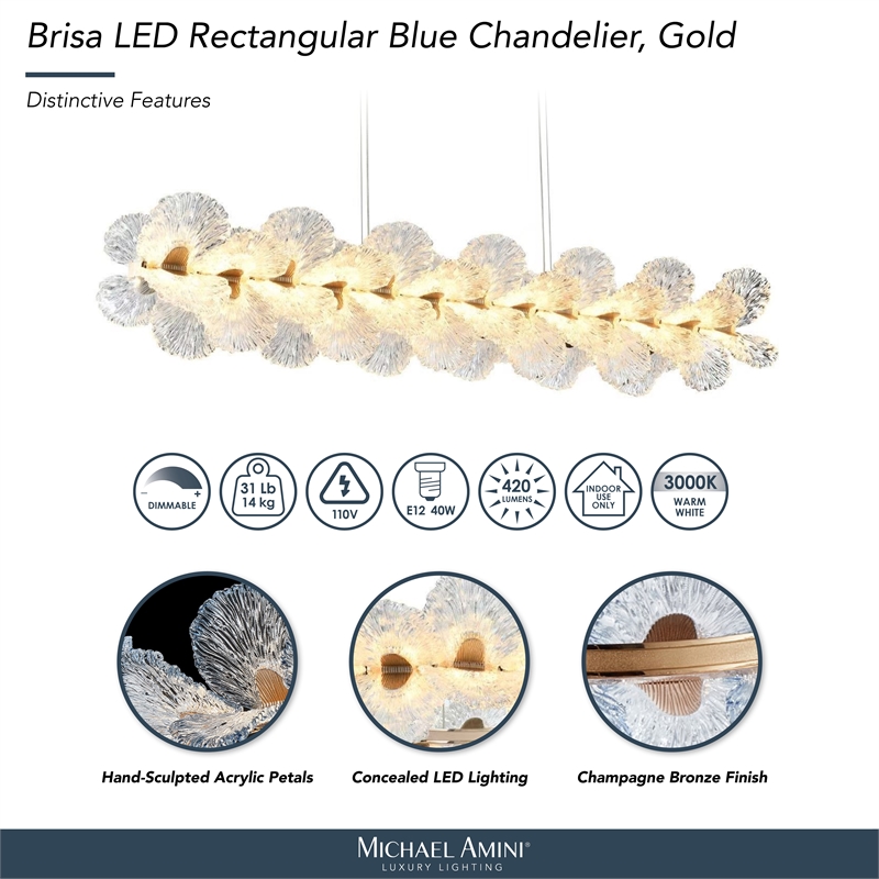 Brisa 50