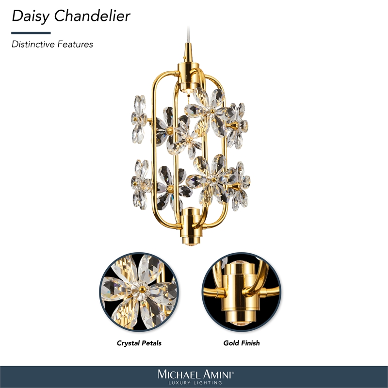 Daisy 20