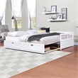 White Wood Daybed with Trundle Bed and Two Storage Drawers for Living Room