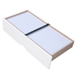 White Wood Daybed with Trundle Bed and Two Storage Drawers for Living Room