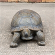 Turtle Garden Sculpture Magnesium Oxide Outdoor Statue