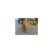 D-Art Collection Square Traditional Teak Solid Wood Picnic Table in Natural