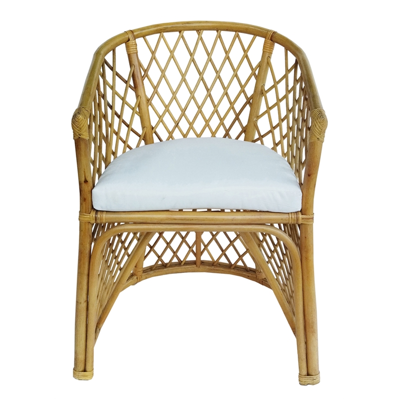 D-Art Collection Rattan Palm Chair in Rattan