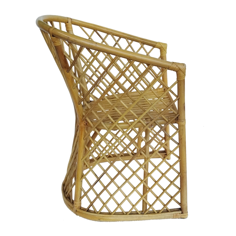 D-Art Collection Rattan Palm Chair in Rattan