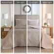 510 Design Oakley 3-Piece Polyester Microfiber Bedspread Set in Brown