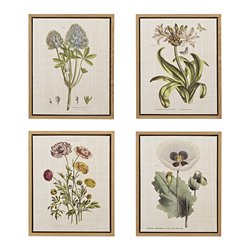 Prints / Paintings