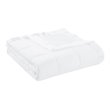 Madison Park Contemporary Microfiber 3M Scotchgard Solid Blanket in White