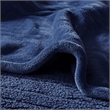 Beautyrest Polyester Solid Knitted Microlight Heated Blanket in Blue