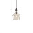 Hampton Hill Auburn 1-Light Transitional Metal and Glass Pendant in Bronze/Clear