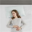Sleep Philosophy Polyester Rayon Foam Pillow with Bamboo Cover - Ivory