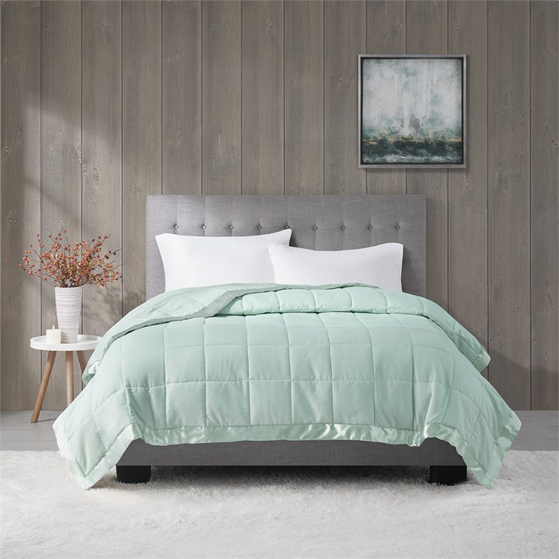 Madison Park Polyester Microfiber Solid Blanket in Seafoam Green