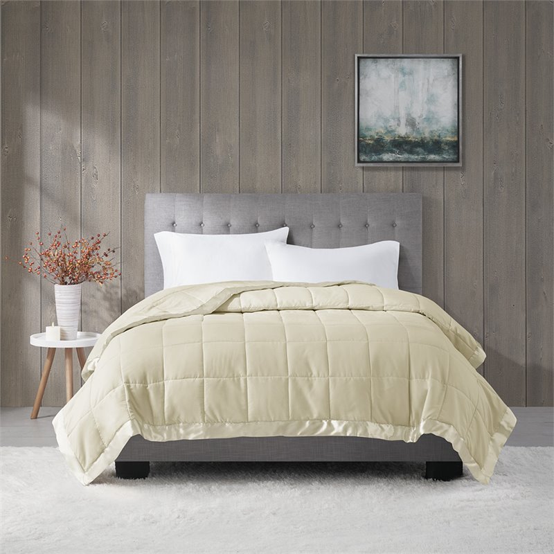 Madison Park Polyester Microfiber 3M Scotchgard Solid Blanket in Ivory