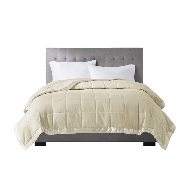 Madison Park Polyester Microfiber 3M Scotchgard Solid Blanket in Ivory