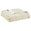 Madison Park Polyester Microfiber 3M Scotchgard Solid Blanket in Ivory