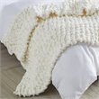 Madison Park 100 Percent Polyester Solid Chenille Chunky Knit Throw in Ivory