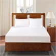 Bed Guardian by Sleep Philosophy Bed Guardian 3M Scotchgard Comforter Protector