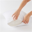 Bed Guardian by Sleep Philosophy Bed Guardian 3M Scotchgard Comforter Protector