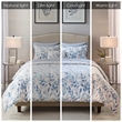 Madison Park Essentials Sofia Reversible 8 Piece Comforter Set with Bed Sheets