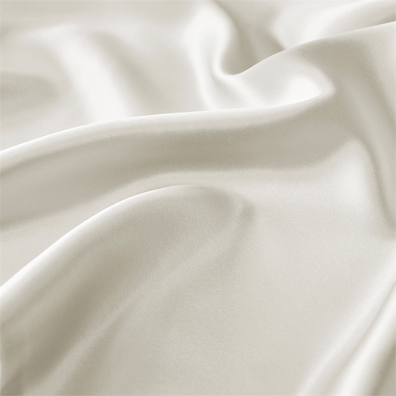 Madison Park Silk Mulberry Single Pillowcase in Ivory