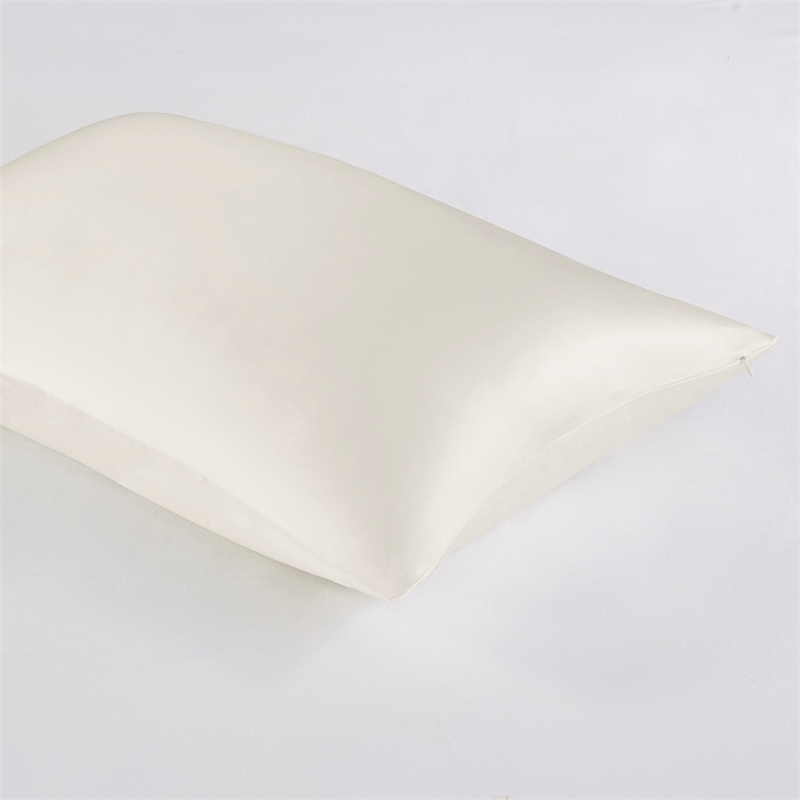 Madison Park Silk Mulberry Single Pillowcase in Ivory