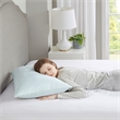 Sleep Philosophy Rayon from Bamboo Shredded Memory Foam Pillow in Ivory