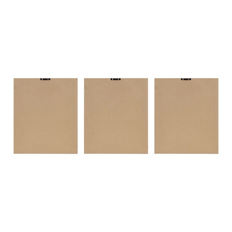 Madison Park Fair Florets Printed Framed Graphic 3 Piece Set in Beige