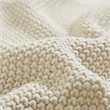 INK+IVY Bree Knit Knit Blanket in Ivory King