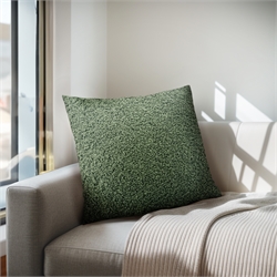 Throw Pillows