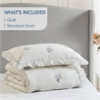 Olliix Intelligent Design Twin/Twin XL Microfiber Quilt Set in  Blue