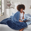 Olliix Intelligent Design Twin/Twin XL Microfiber Comforter Set in Blue Ombre