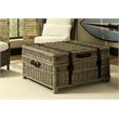 Padma's Plantation Wicker Coffee Table Trunk in Kubu Gray