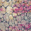 Nourison Passion 79x114