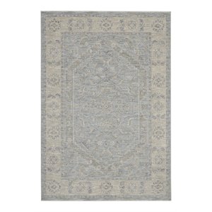 Nourison Asher 63x92&quot Rectangle Traditional Fabric Area Rug in Blue/Gray