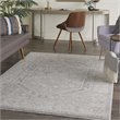 Nourison Asher 63x92