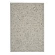 Nourison Asher 63x92