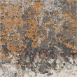 Nourison Ludlow 4' x 6' Fabric Gray/Multi Modern Indoor Rug
