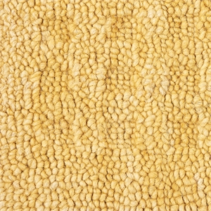 Nourison Perris Rectangle Contemporary Wool Area Rug in Gold