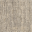 Nourison Perris Rectangle Contemporary Wool Area Rug in Latte