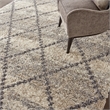 Nourison Scandinavian Shag Rectangle Polypropylene Area Rug in Ivory/Gray