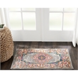 Nourison Passion 2' x 3' Gray Fabric Bohemian Area Rug (2' x 3')