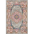 Nourison Passion 2' x 3' Gray Fabric Bohemian Area Rug (2' x 3')