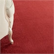 Nourison Essentials 7' x 10' Brick Red Outdoor Indoor/Outdoor Rug