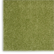 Nourison Essentials 7' x 10' Green Outdoor Indoor/Outdoor Rug