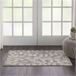 Nourison Tranquil 2' x 4' Grey/Beige Farmhouse Indoor Rug Polypropylene