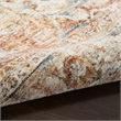 Nourison Petra 63x92