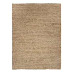 Nourison Natural Jute 8' x 10' Natural Farmhouse Indoor Rug