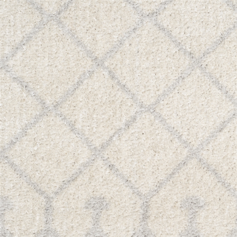 Nourison Astra Machine Washable 4' x 6' Ivory Bohemian Indoor Rug
