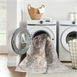 Nourison Astra Machine Washable 2'2