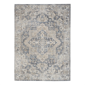 Nourison Astra Machine Washable 6'7&quot x 9' Grey/Blue Vintage Indoor Rug