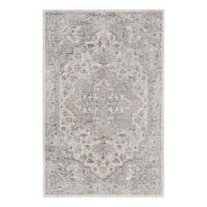 Nourison Astra Machine Washable 4' x 6' Silver Grey Vintage Indoor Rug